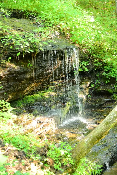 DSC_2807 (Large).JPG